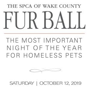 SPCA Fur Ball
